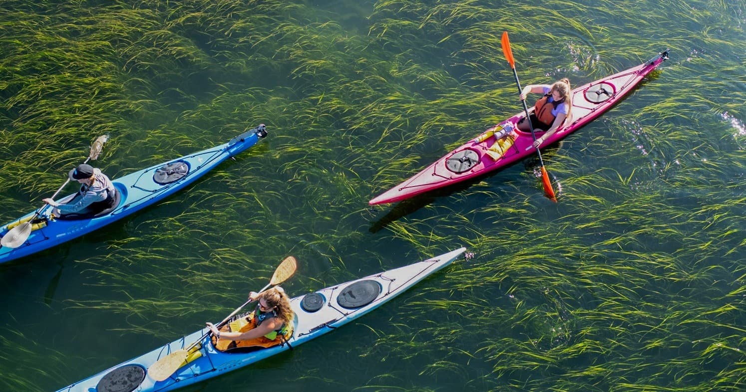 Teen Sea Kayaking on Bellingham Bay: 5-Day Youth Course for Aspiring Paddlers
