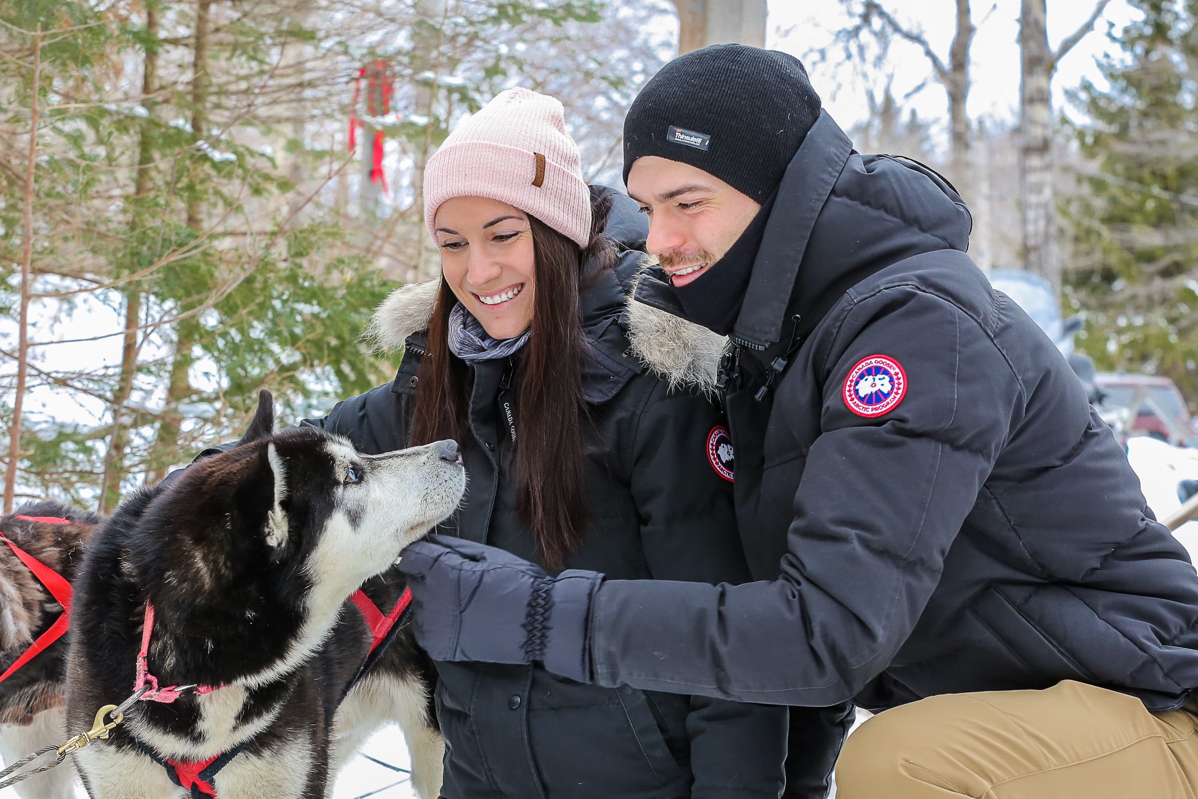Dogsledding Tour | Dogsled in Stoneham-et-Tewkesbury |  photo 1