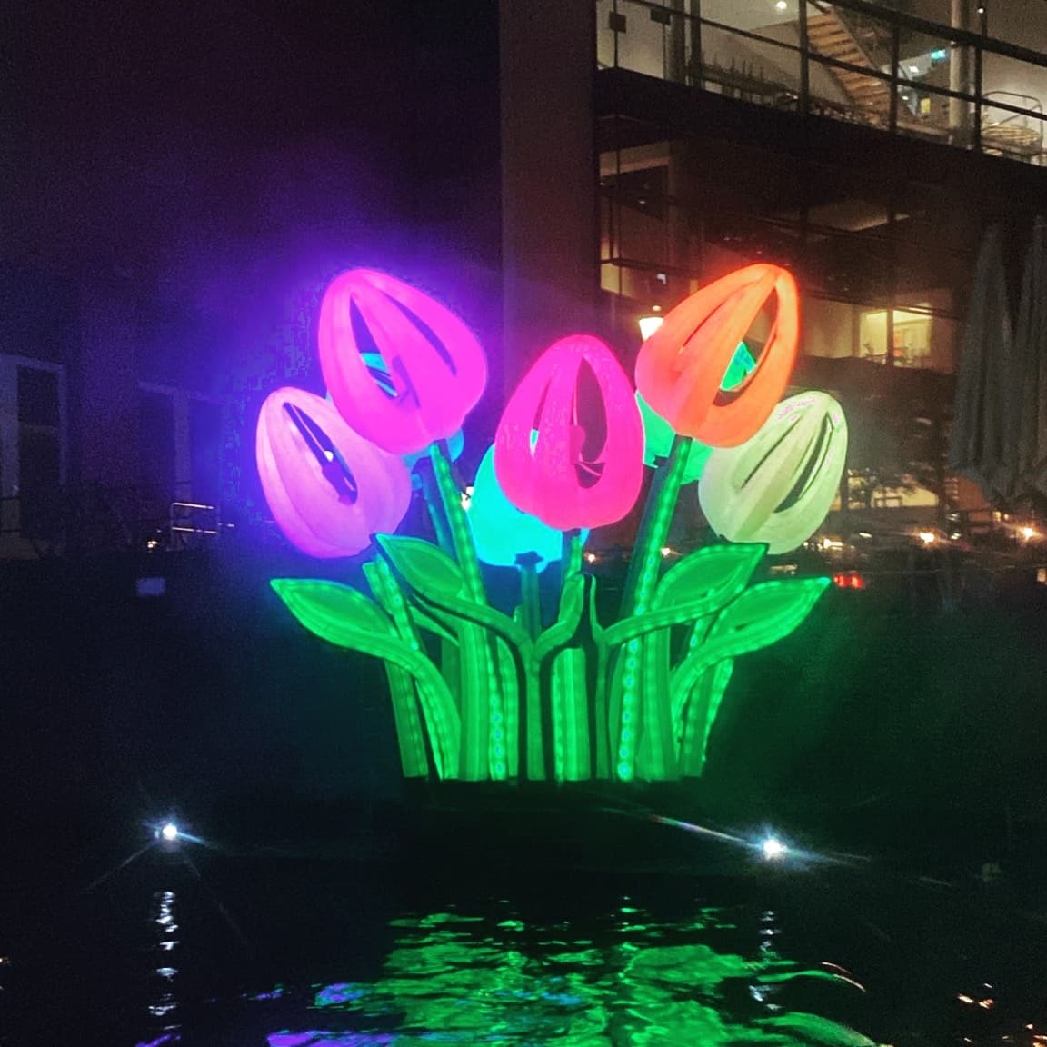 Experience Amsterdam's Light Artwork Festival Aboard an Intimate Canal Cruise