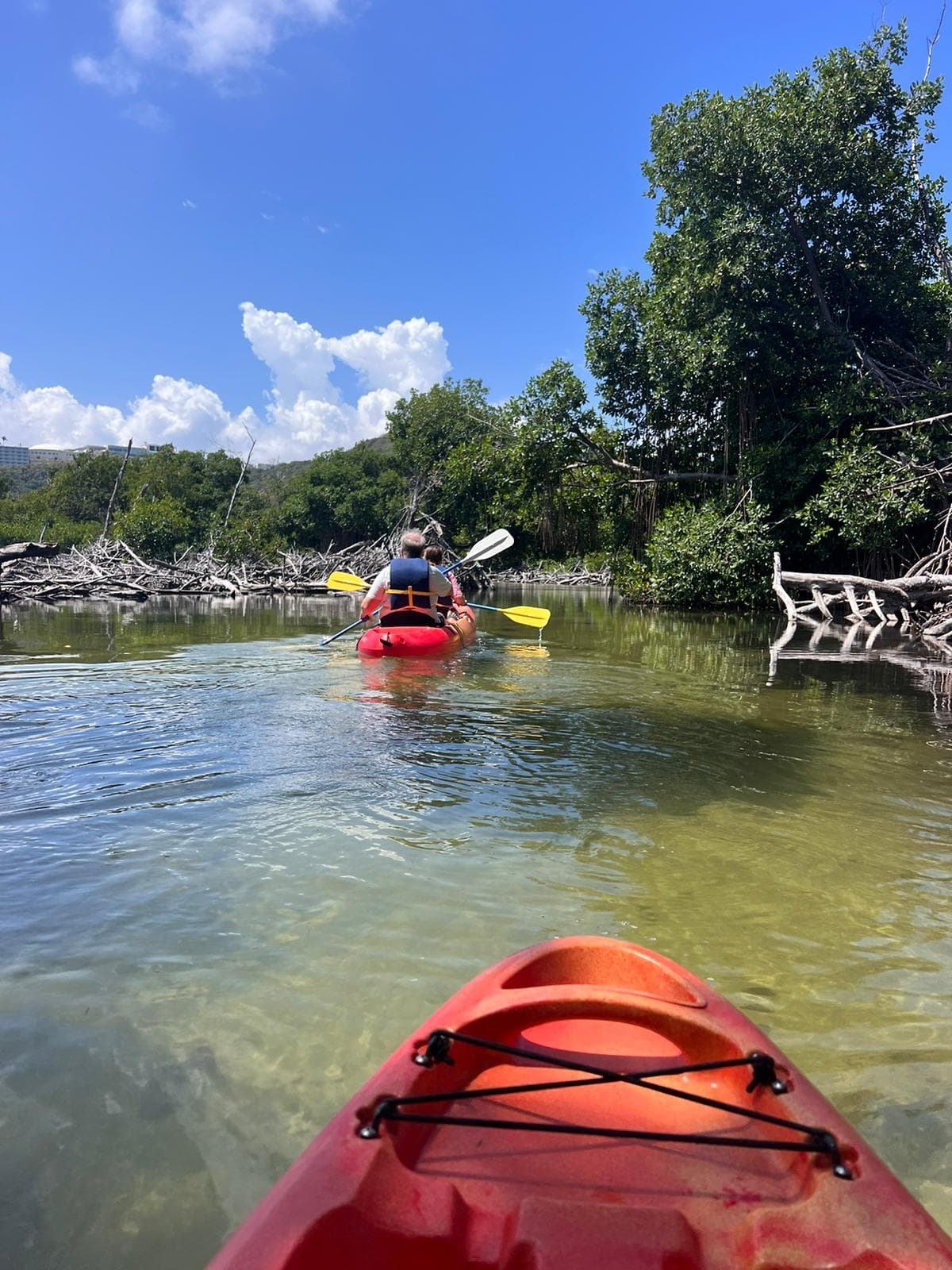 Explore Puerto Rico’s Cabezas de San Juan by Night: Overnight Kayak Adventure in Fajardo