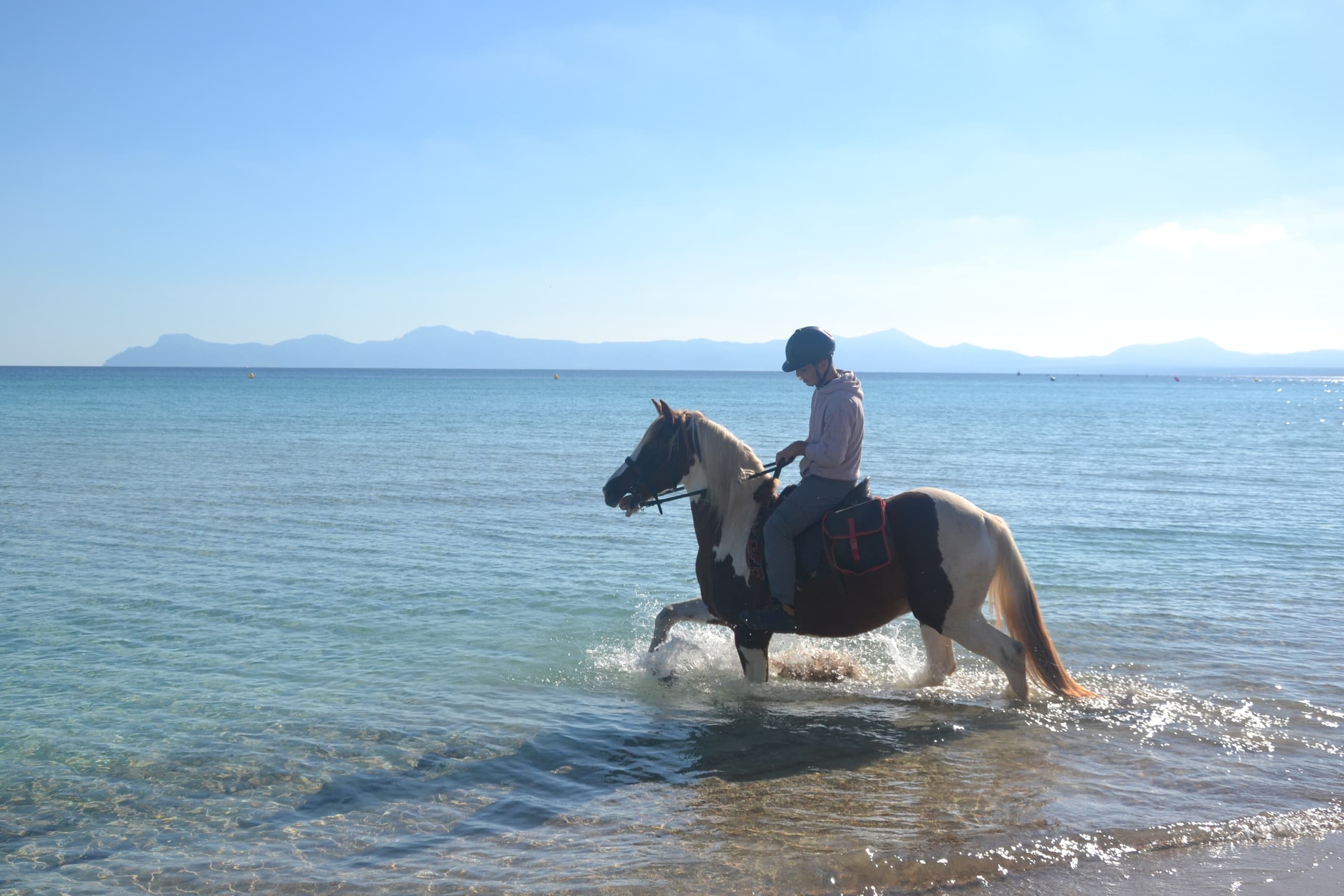Galloping Along Alcudia Bay: An Unforgettable 3-Hour Beach and Mountain Ride