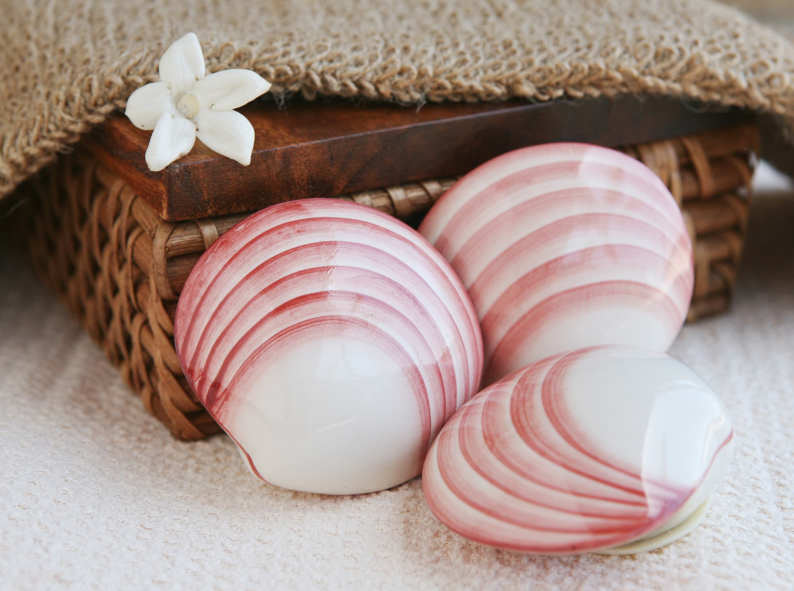 Wellness & relaxation with Lava Shell Massage at Federleicht Praxis