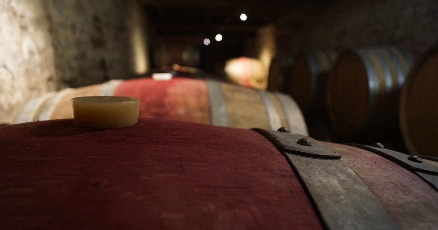 Wine Tasting at Charles Joguet in Chinon