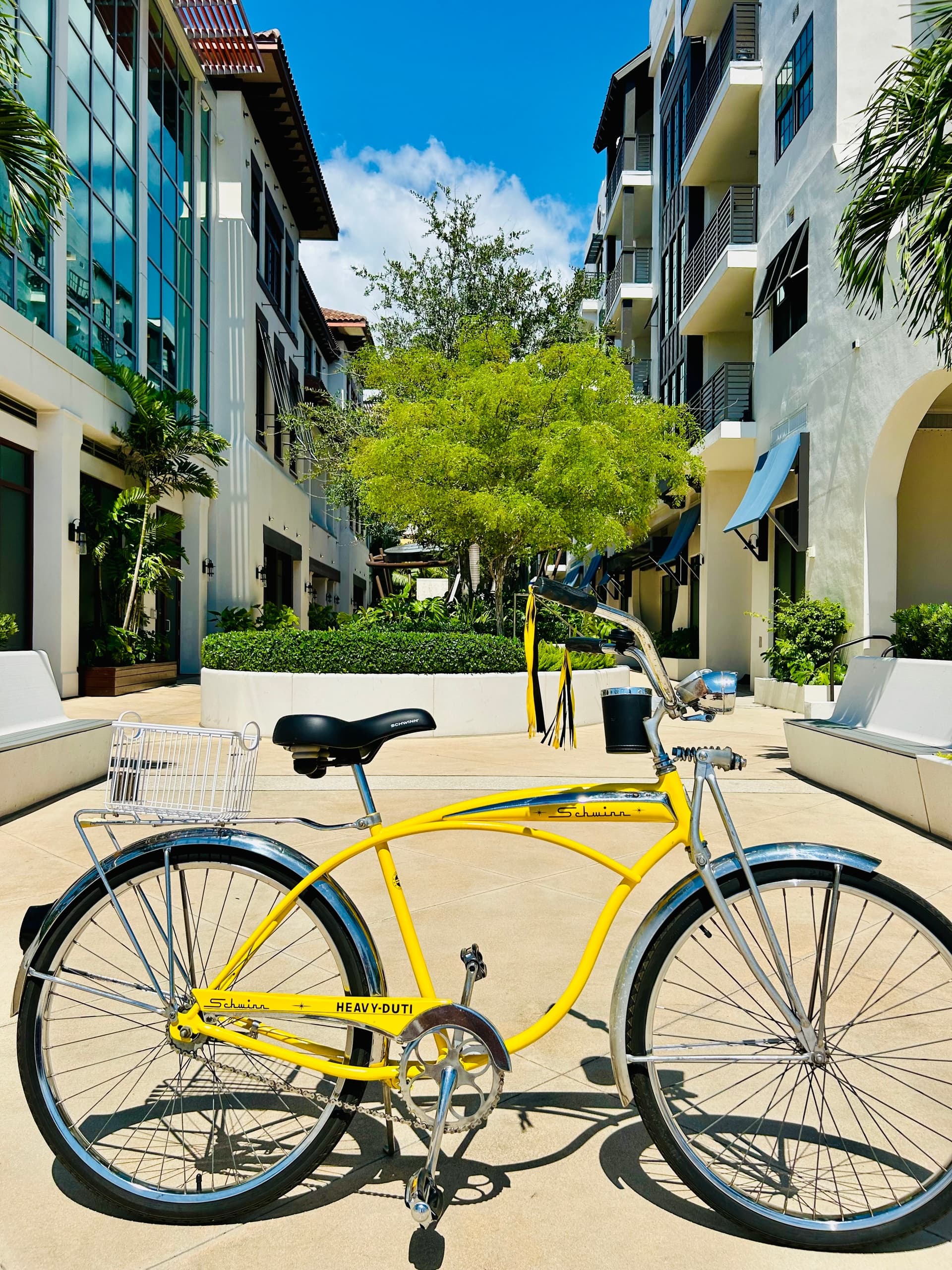 Vintage Schwinn Cruises with Seaside Bicycle Rentals in Delray Beach