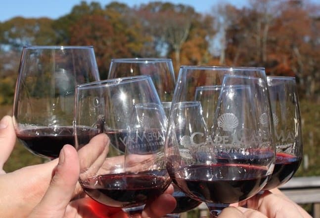 Experience Cape May Winery: Reserved Large Group Tables for Spring to Fall