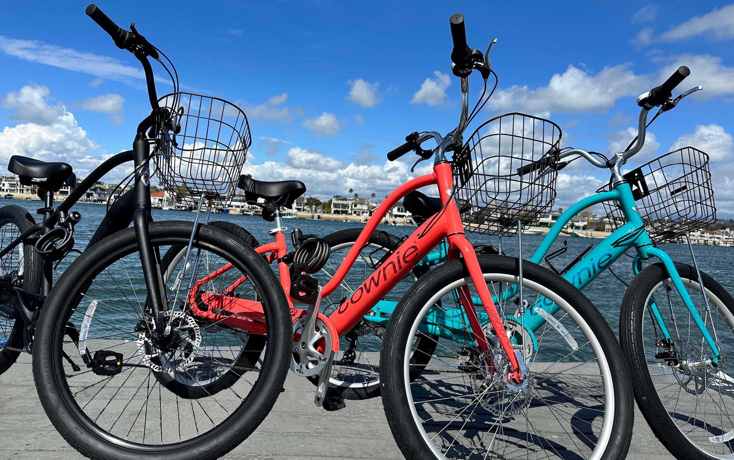 Parked beach cruisers with baskets along sunny marina waterfront