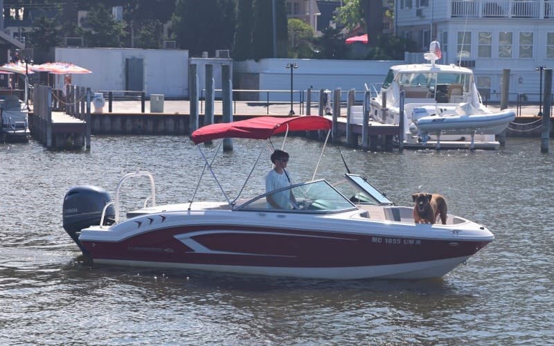 Speedboat cruising past marina on calm summer lake, action