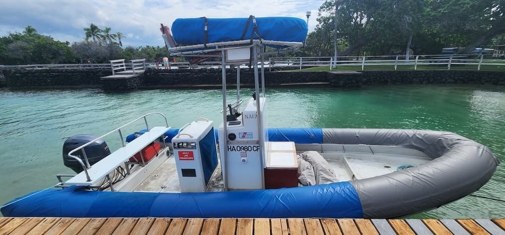 Snorkeling & Dolphin Tour at Keauhou Bay, Hawaii