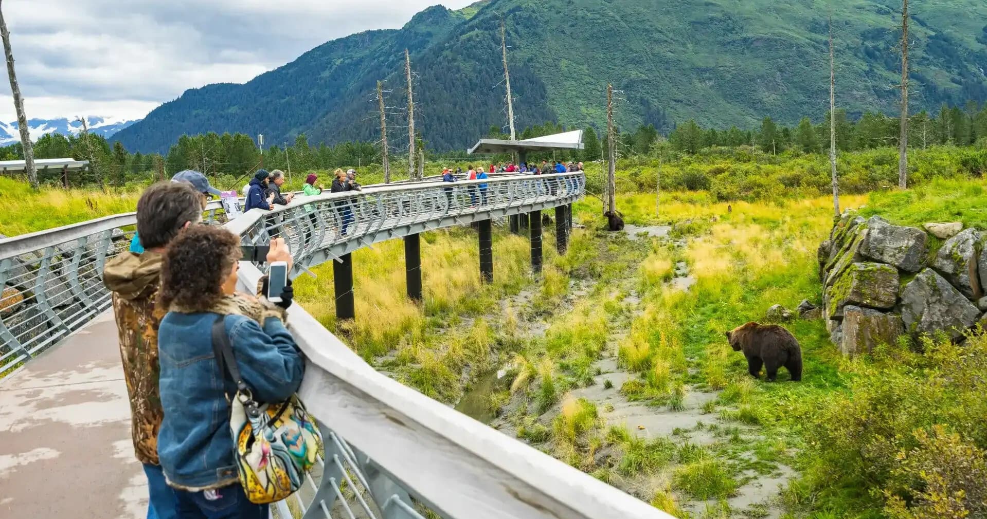 Whittier to Anchorage Cruise Transfer: Seward Highway Wildlife Tour to Alaska Wildlife Conservation Center