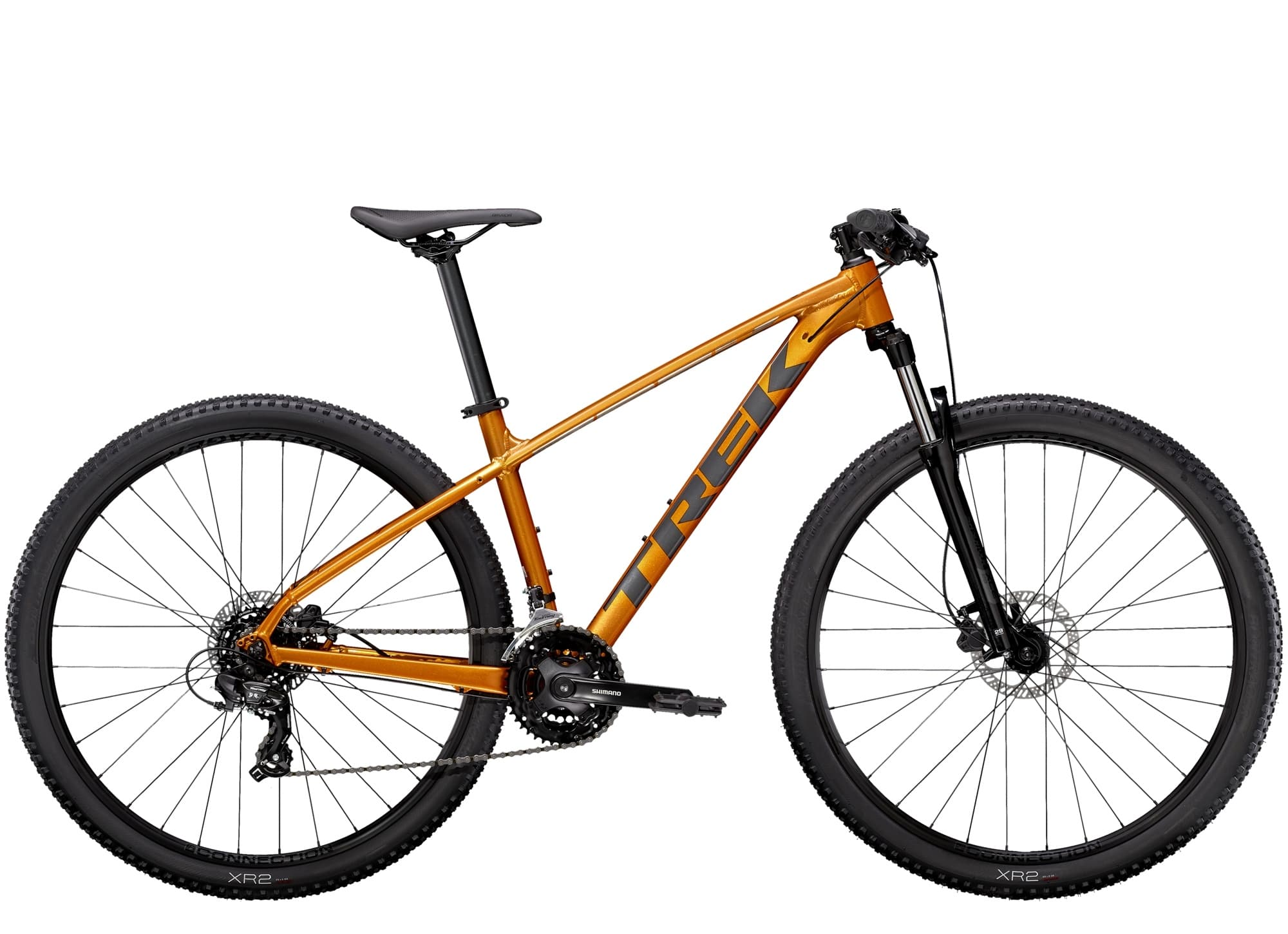 Full-Day Bike Rental in Coimbra with Viaje Portugal