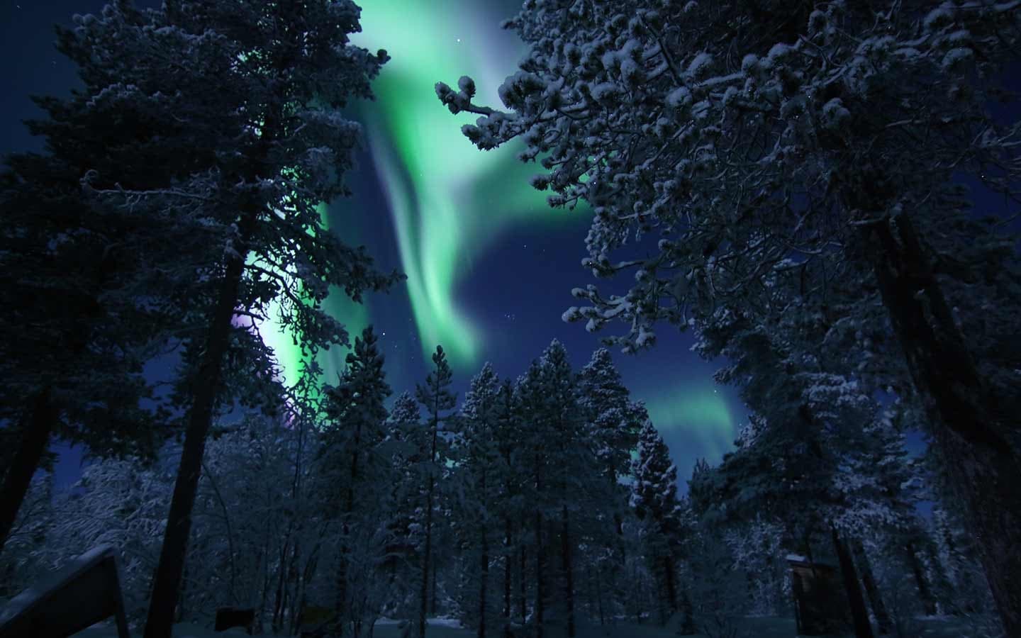 Snowshoe & Aurora Adventure with Kiruna Guidetur in Lappland