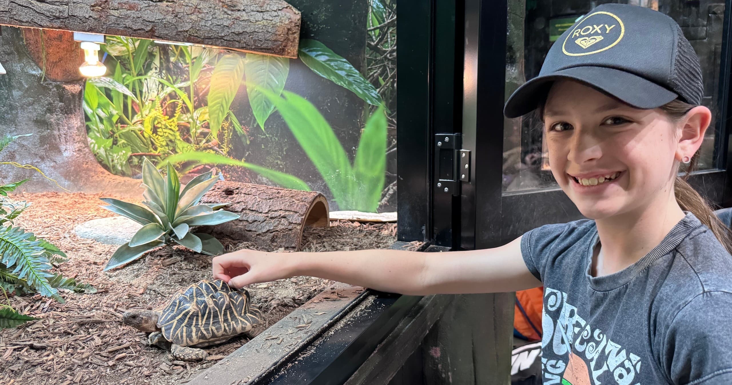 Keeper for a Day at National Zoo and Aquarium Canberra