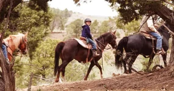 Mesa Verde Stables team