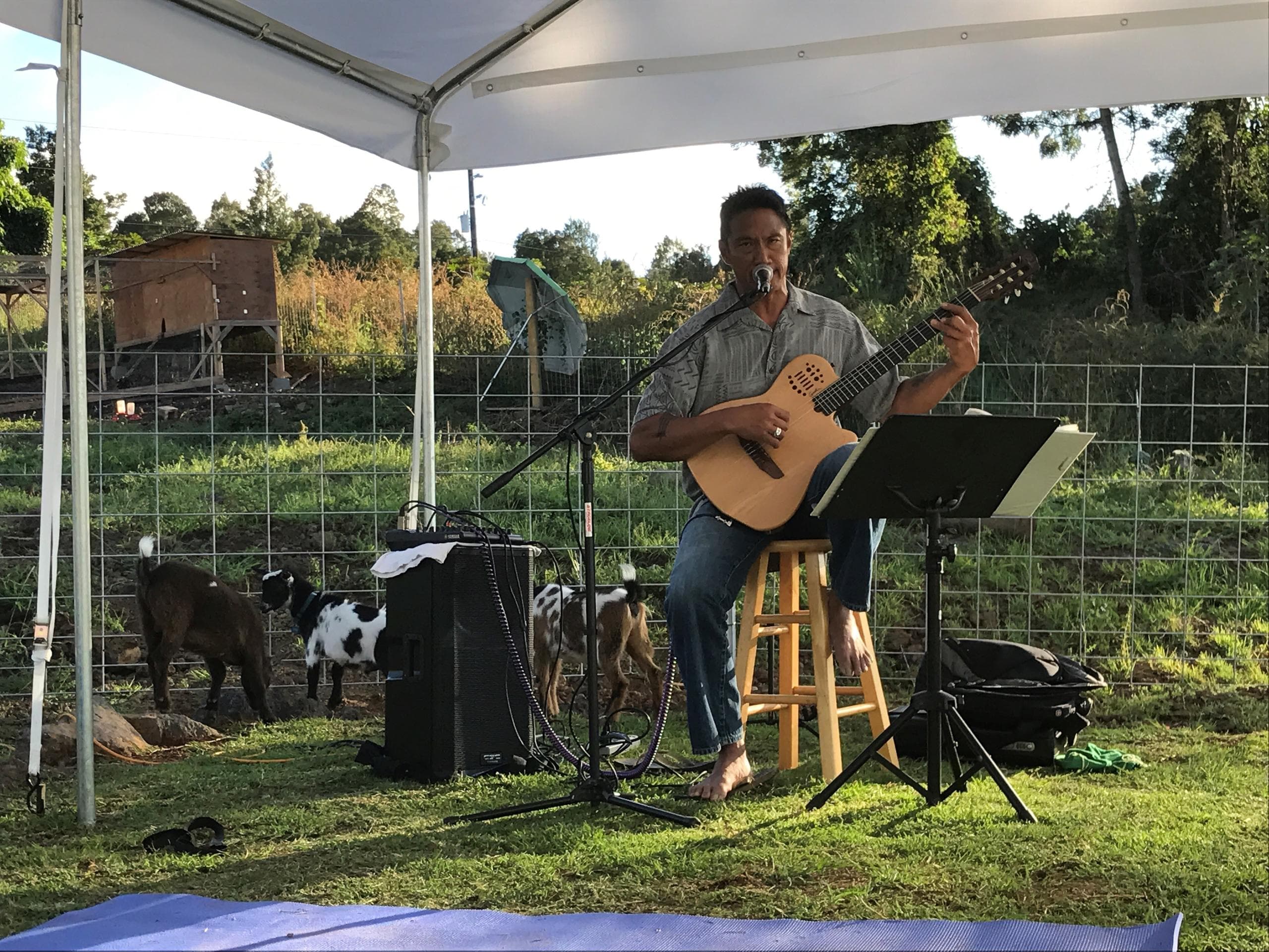 Sunset Goat Yoga & Live Music with Maui Goat Yoga