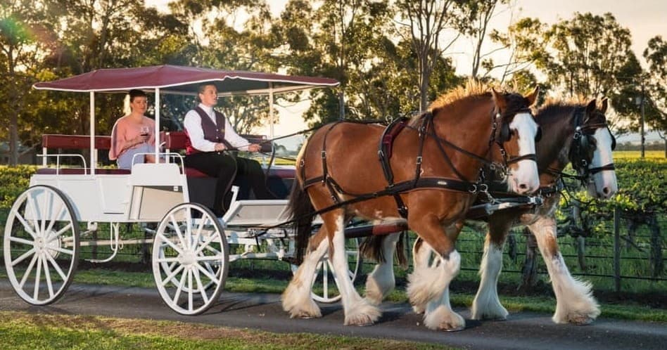 Explore Unique Outdoor Adventures in Bletchley, South Australia
