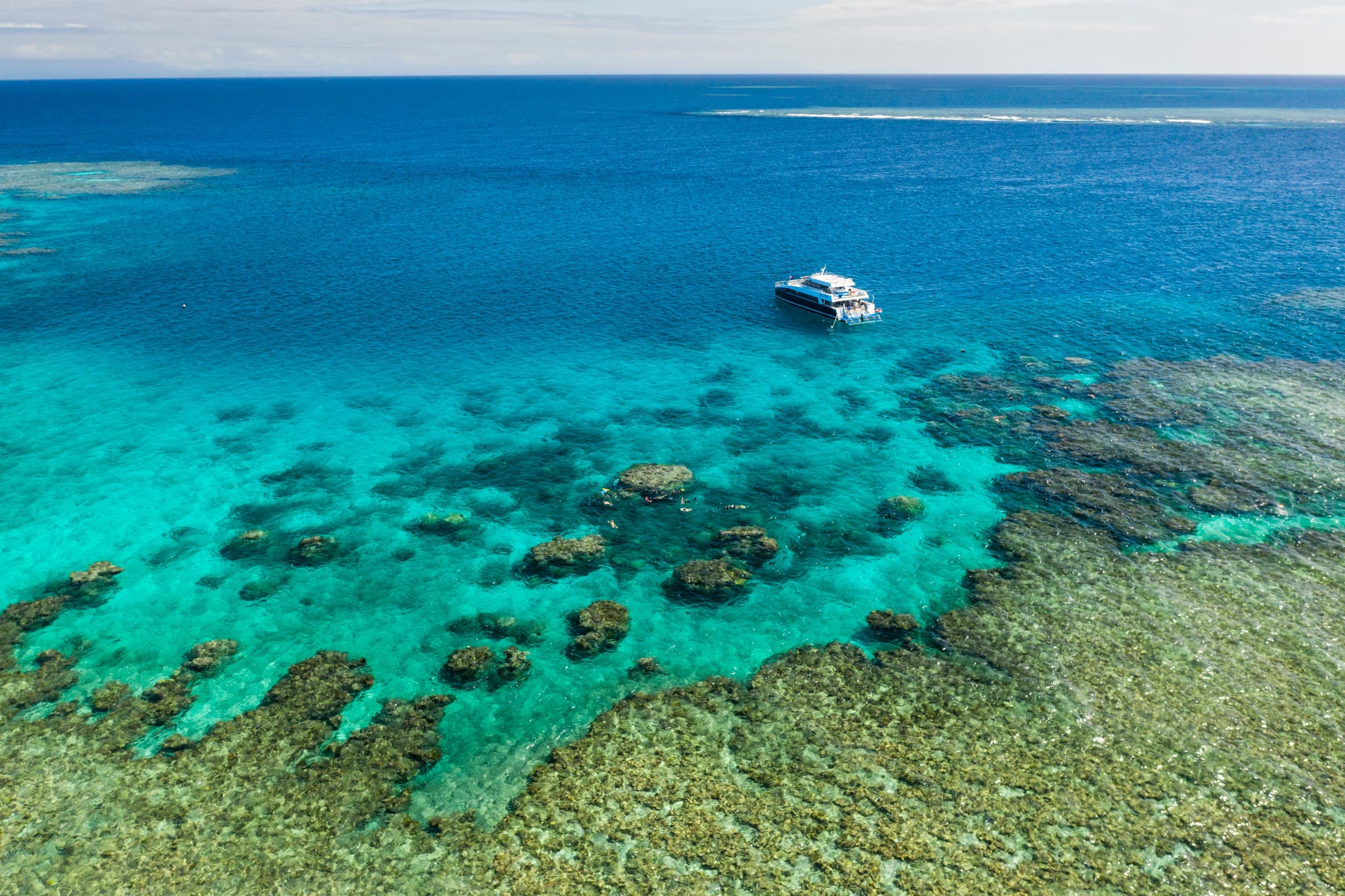 Great Barrier Reef Diving and Snorkeling with Blue Dive Port Douglas