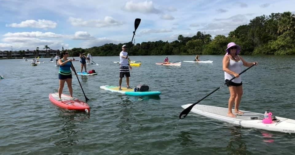 Paddlers on SUP boards touring an inlet with open coastal views