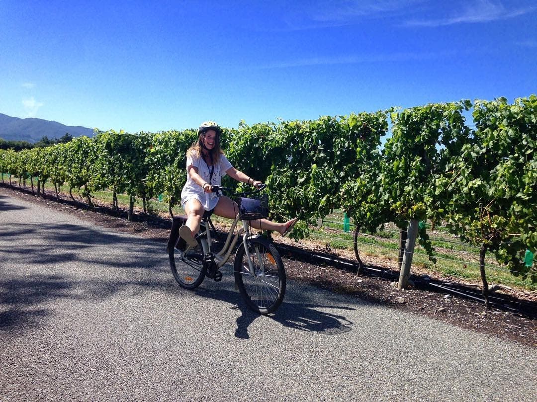 Self-Guided Bike Hire with Wine Tours By Bike in Renwick