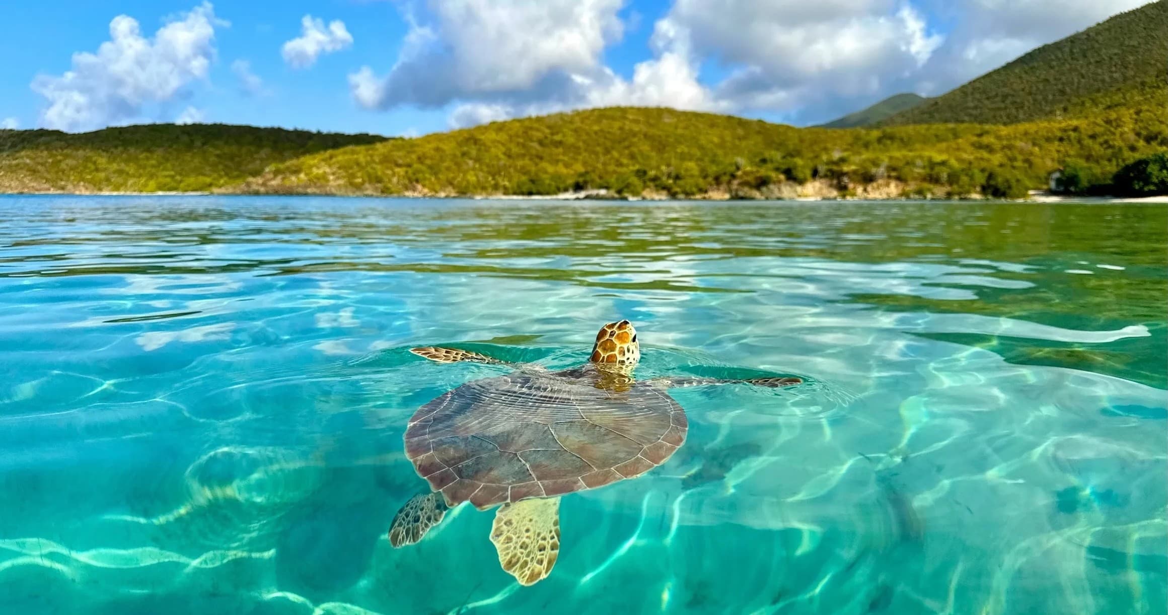 USVI Half-Day Private Charter: Snorkel Waterlemon & Pizza at Christmas Cove