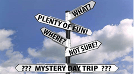 Unique Holiday Adventure with Beyond Horizons Tour & Travel, LLC