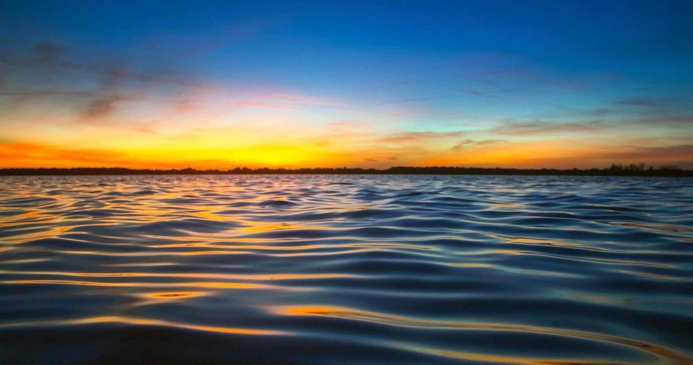 Experience Custom Private Boat Tours in Marco Island: Dolphin Spotlighting, Sunset Cruises, and Waterfront Dining