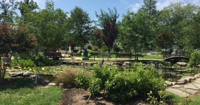 Lakeside park garden with walking paths and pond near marina