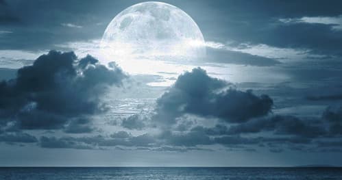 Moonlight Cruise with Wind Star Charters in Dunedin