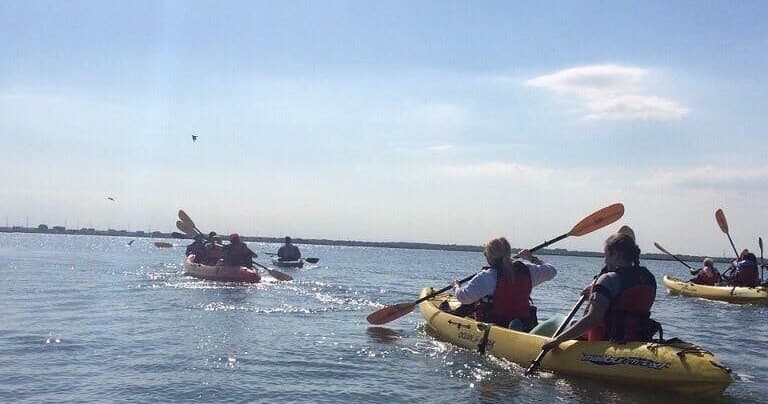 Group of kayakers paddling on flat coastal waters excursion
