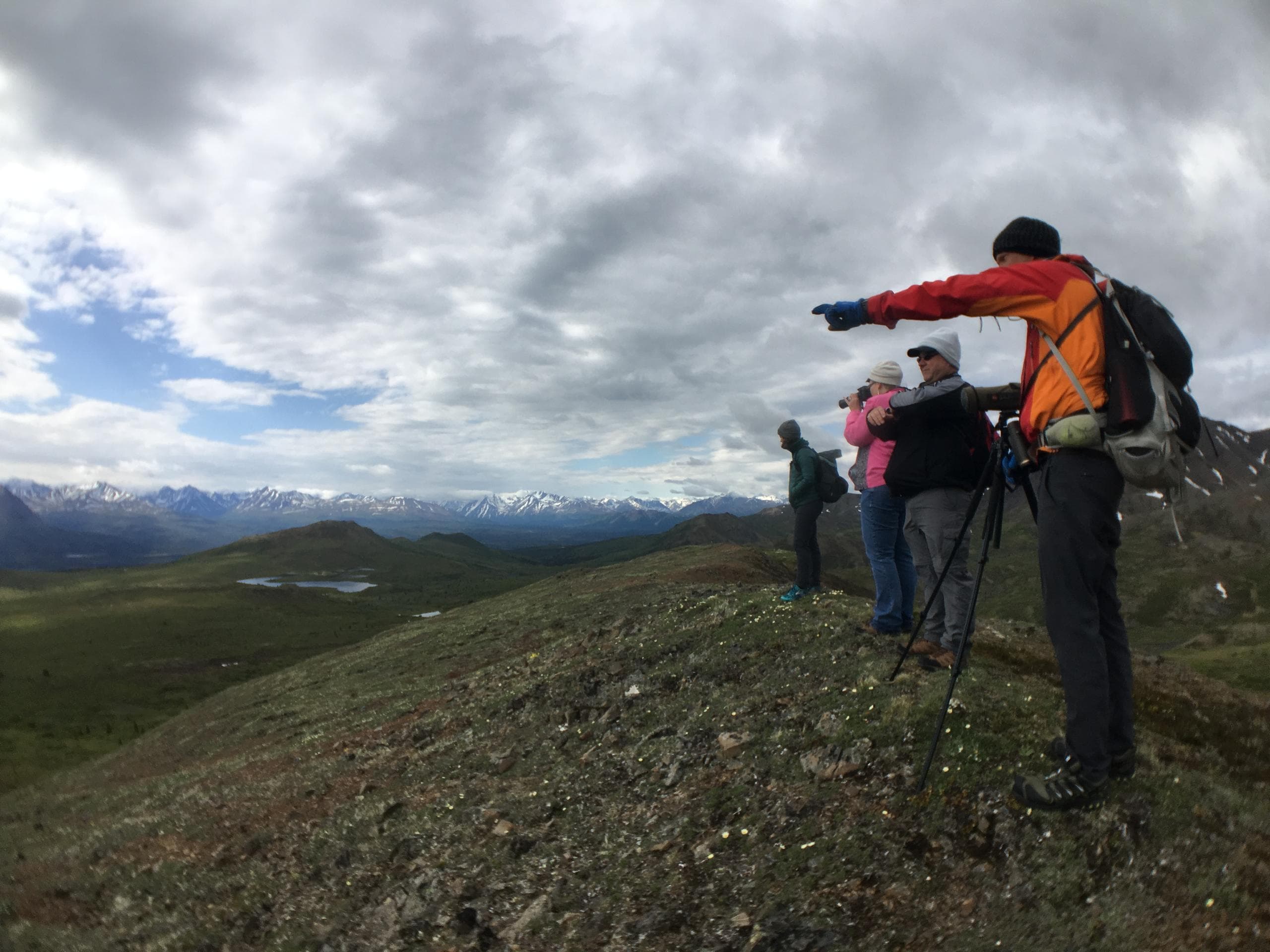 Heli-Hiking Adventure
