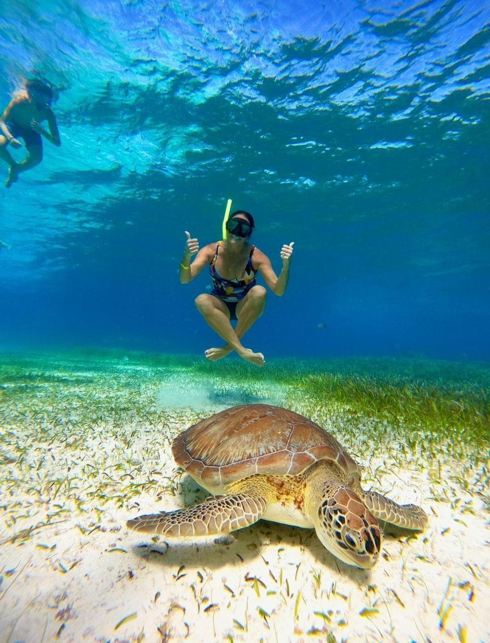 Cozumel Cielo | Guided Tour in Cancún | Boat Tour, Snorkel, Water Activities