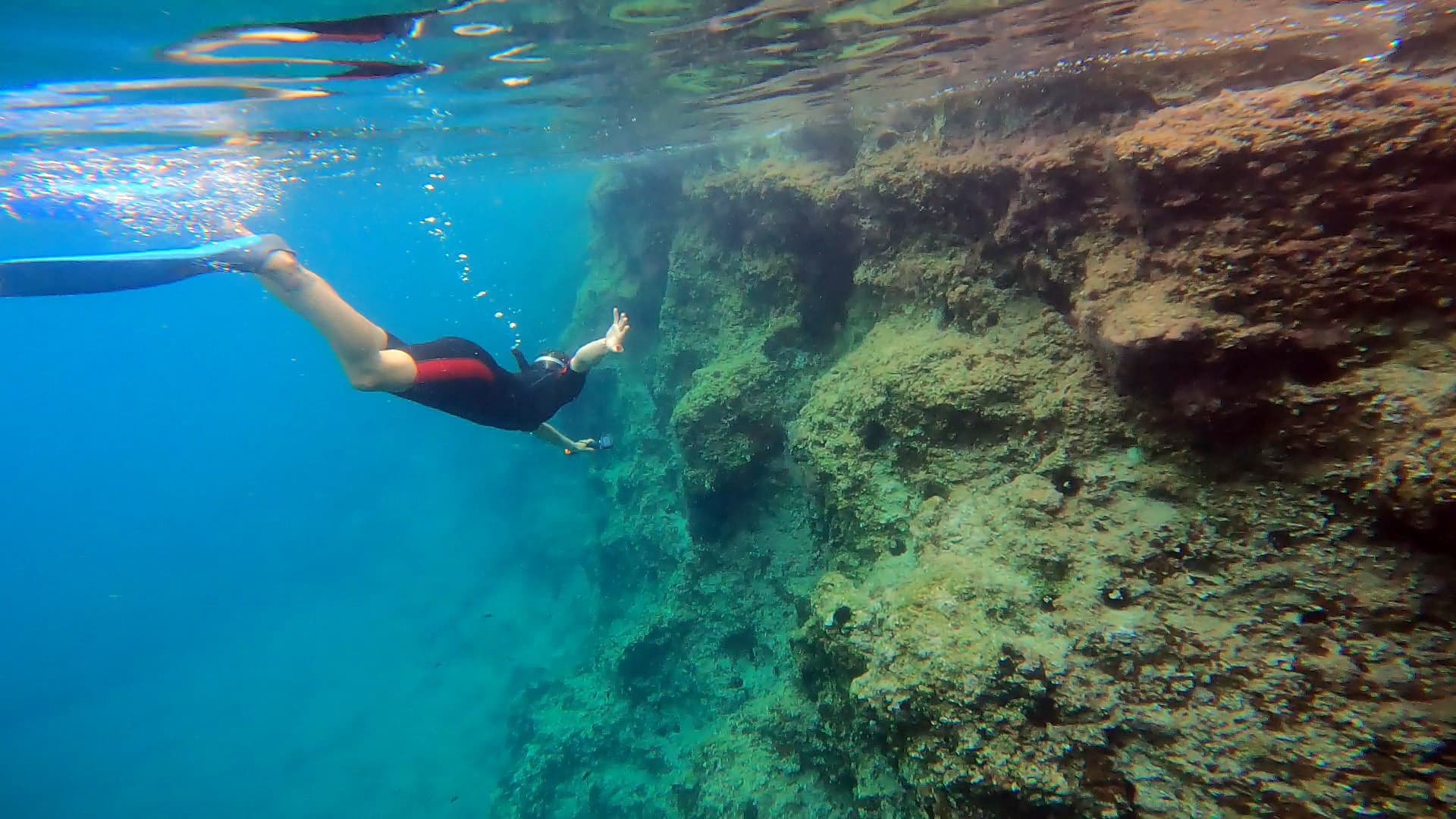 Snorkeler exploring coastal coral reef near clear shallow water
