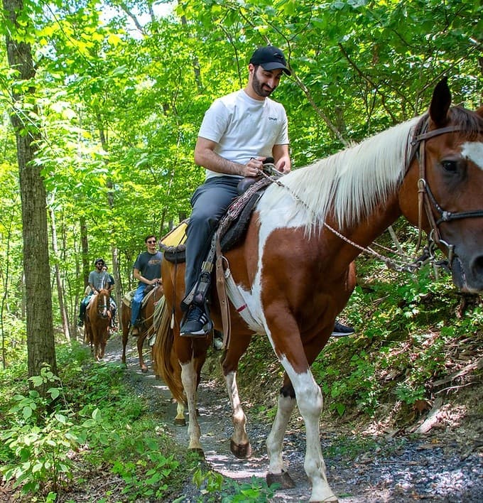 Horseback Ride Through Fort Valley: 1-Hour Guided Trail in Shenandoah
