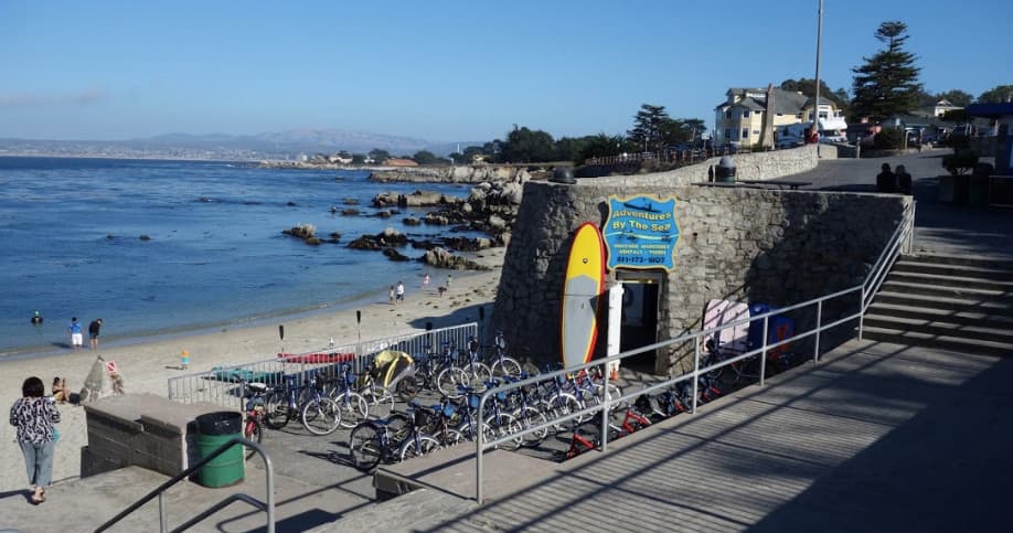 Snorkeling Adventure in Pacific Grove Kelp Forests