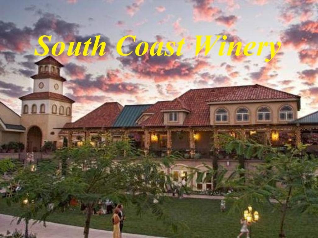 Temecula Wine Tours team
