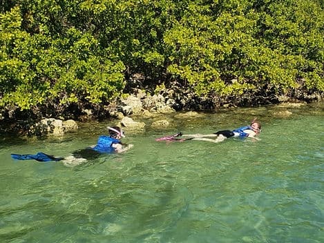 Beginner Friendly Island Snorkeling Adventure Near Miami Beach, Florida