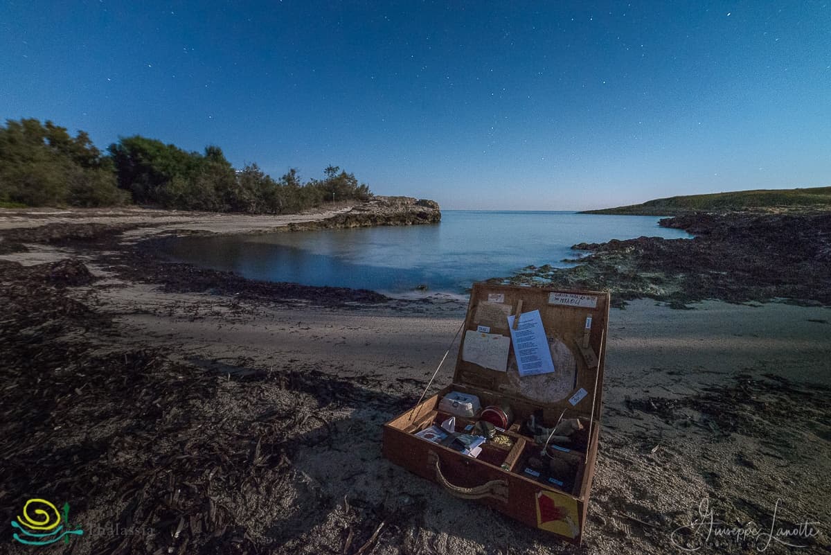 Coastal picnic gear on rocky shore at dusk, starry sky