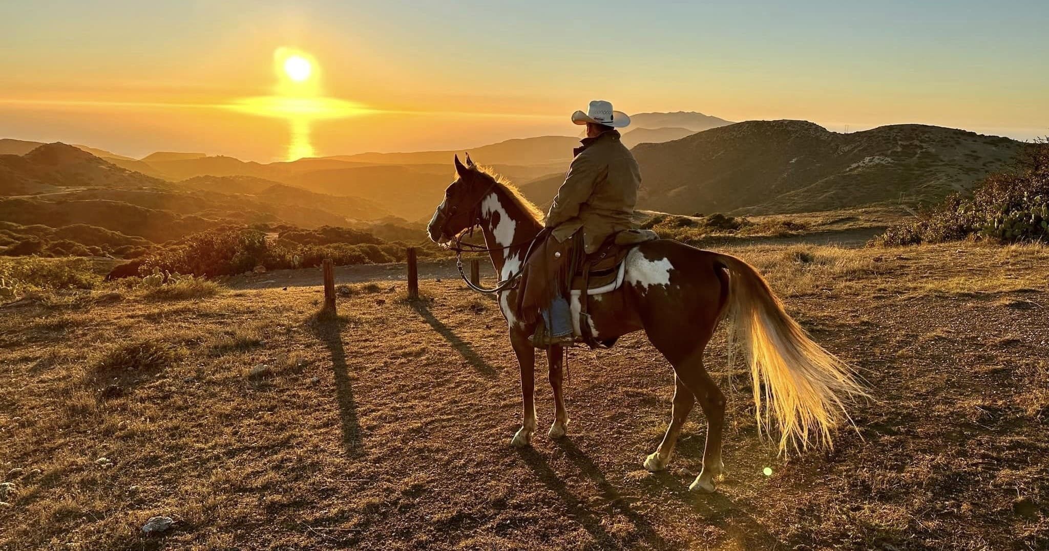 Land Adventures at Catalina Island Horseback Tours