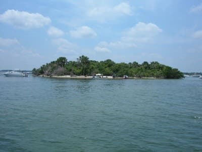 Private Catamaran Charter in Cocoa Beach: Sail, Swim & Watch Dolphins photo 2