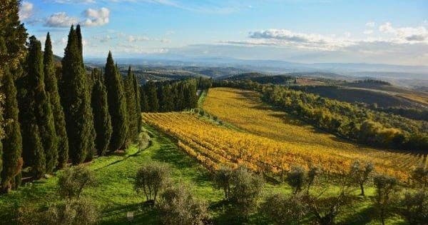Chianti Wine Tour with Keys of Italy in Toscana