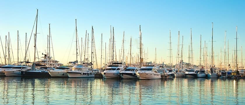 Sailboats moored at marina on calm Chesapeake Bay harbor