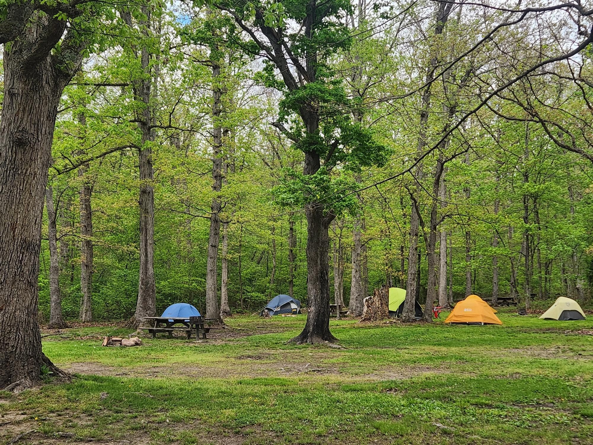 Camp Outback Camping at Shenandoah River Outfitters