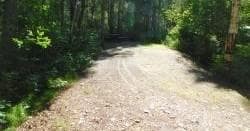 Camping & Wilderness at Montana Creek Campground