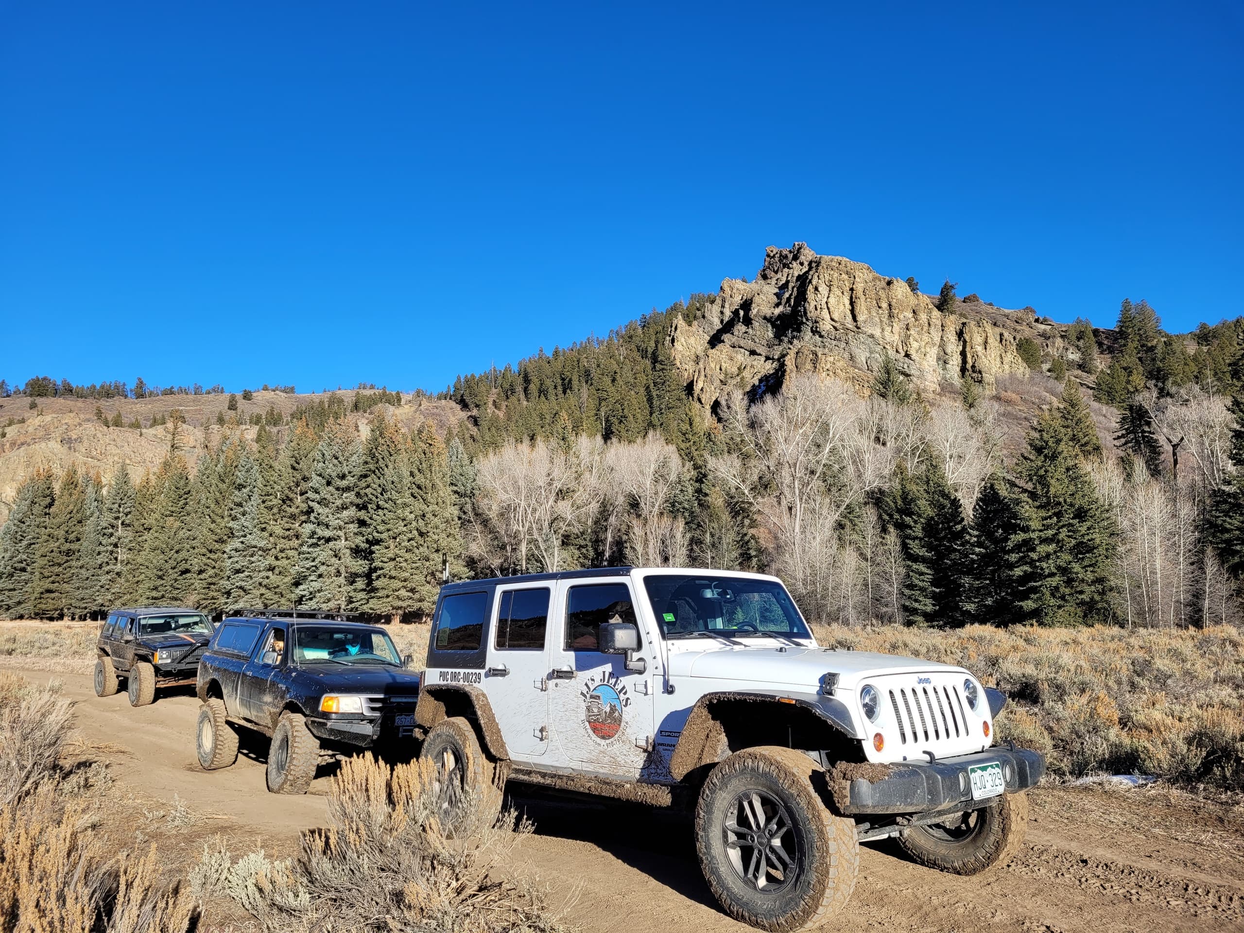 Jeep convoy driving dirt road through mountain pine forest