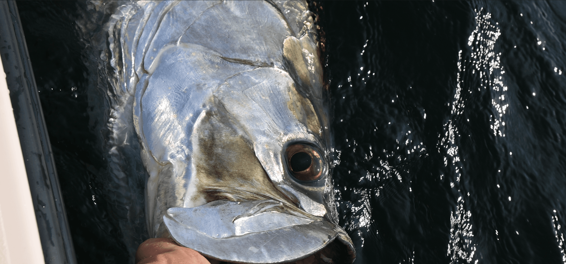 Fishing in Alys Beach, Florida