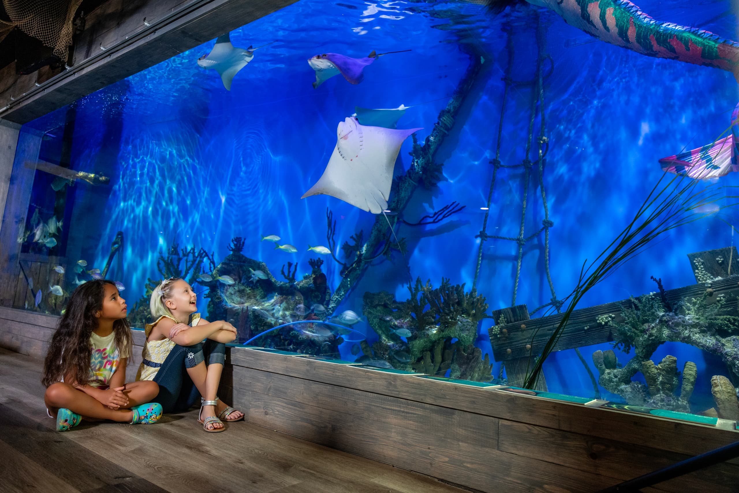 Water-Activities & Mertailor's Mermaid Aquarium Encounter