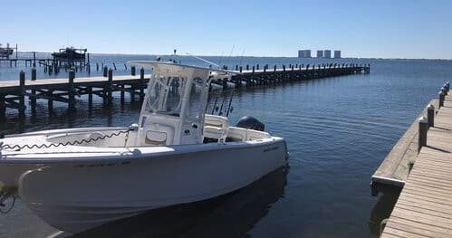 Dolphin & Sandbar Day Trip with Reel Irie Fishing Charters in Gulf Breeze