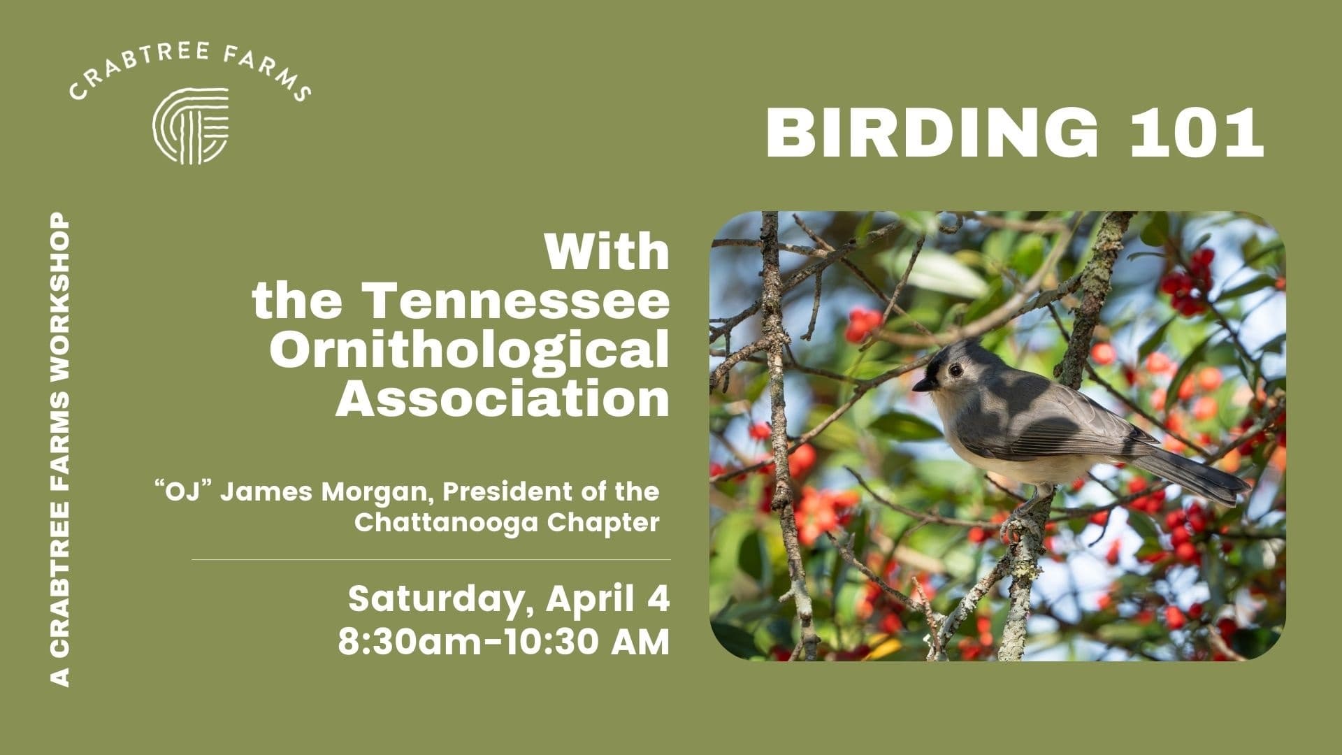 Birding 101 at Crabtree Farms: Beginner Birdwatching Class in Chattanooga