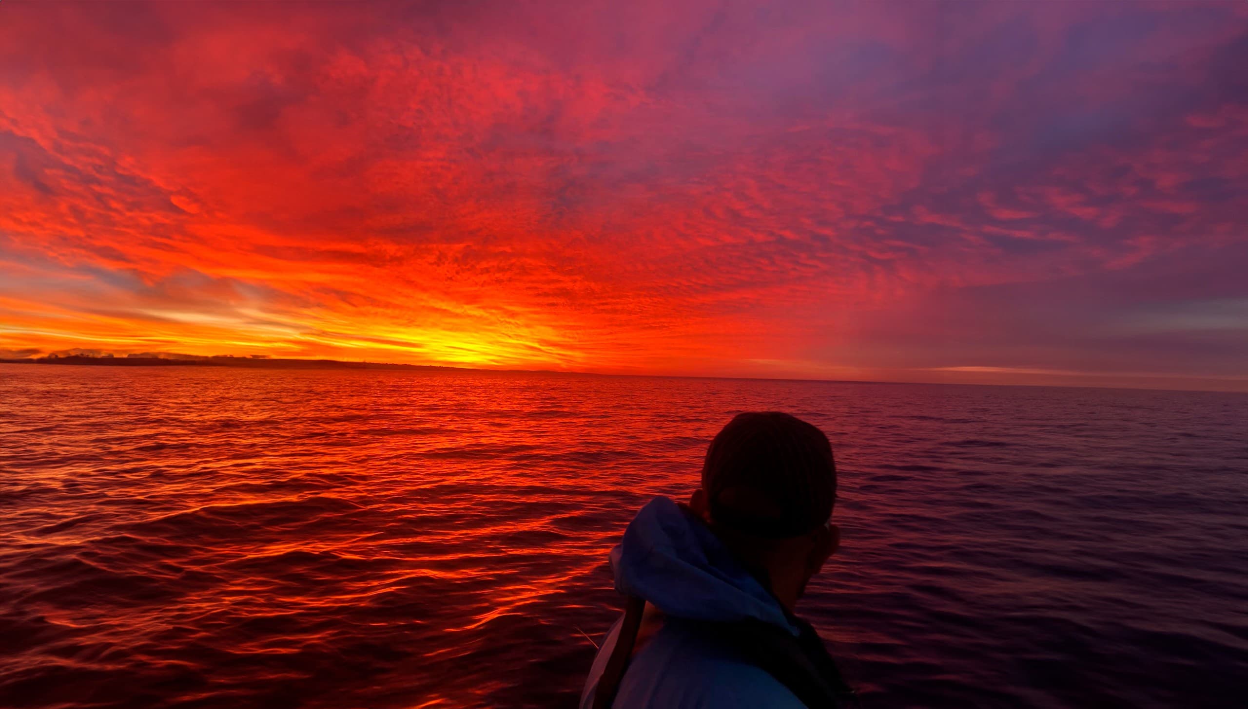 Benagil Sunset RIB Tour from Portimão — Caves, Cliffs & Evening Dolphins photo 4