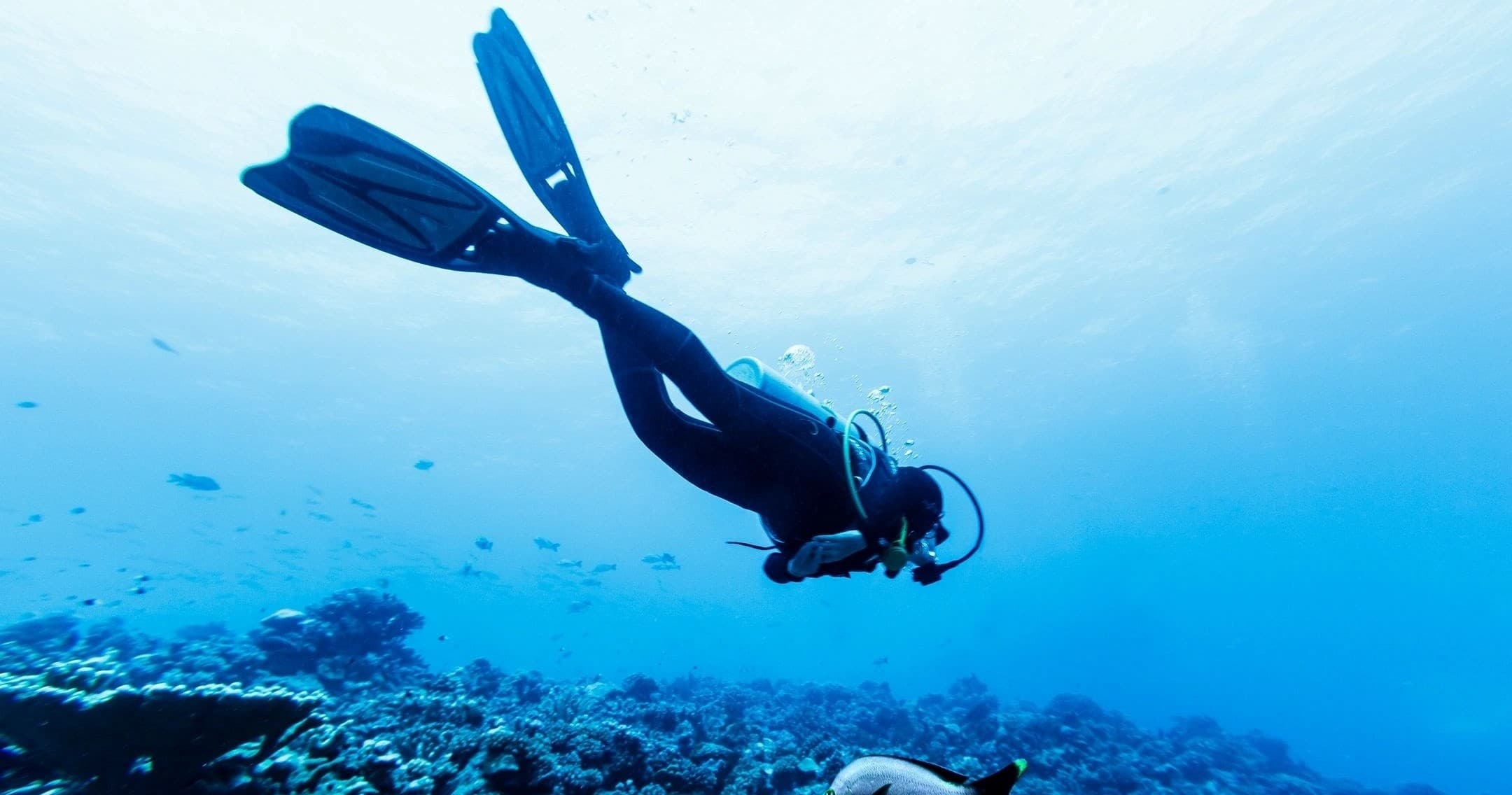Master the Open Water Basic Dive Course in Panama City Beach: Your Gateway to Underwater Adventure