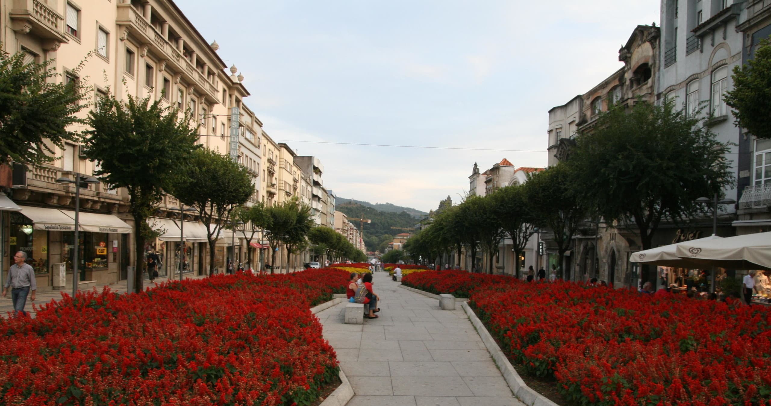 Cultural & Historic Tour | Overtime Tours in Northern Portugal